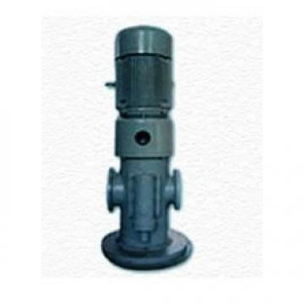 MFP100/1.7-2-0.75-10 Hydraulikpumpe auf Lager #2 image